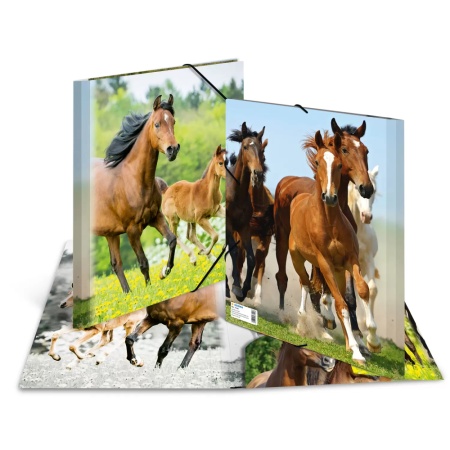 f4784c3dc7c42af33da9716d36ba8f00